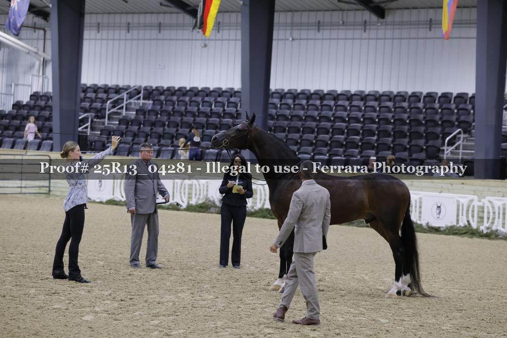 Proof 25R13_04281