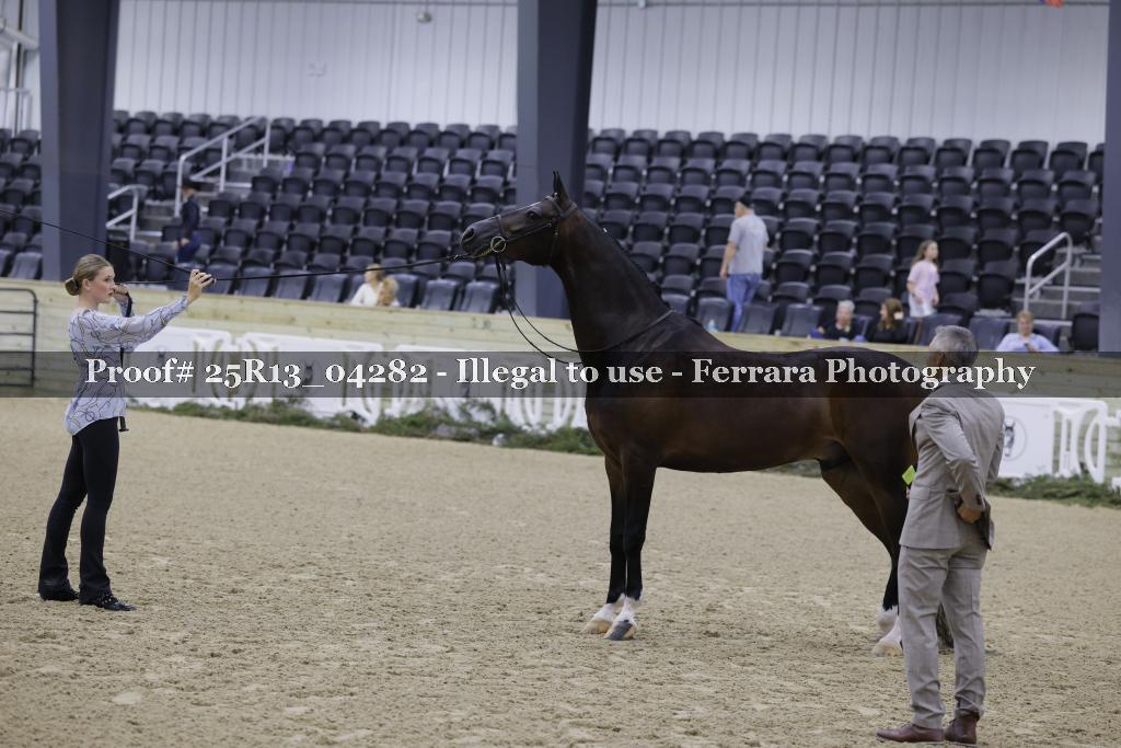Proof 25R13_04282