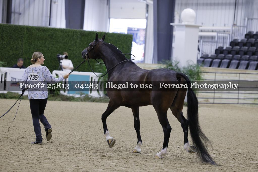 Proof 25R13_04283