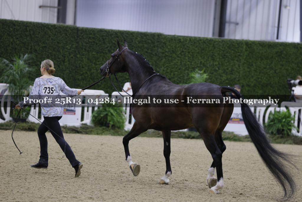 Proof 25R13_04284