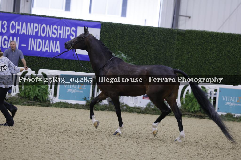 Proof 25R13_04285
