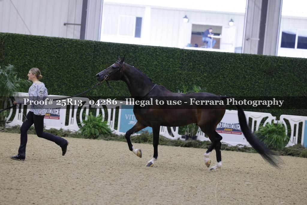 Proof 25R13_04286
