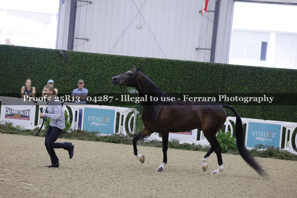 Proof 25R13_04287