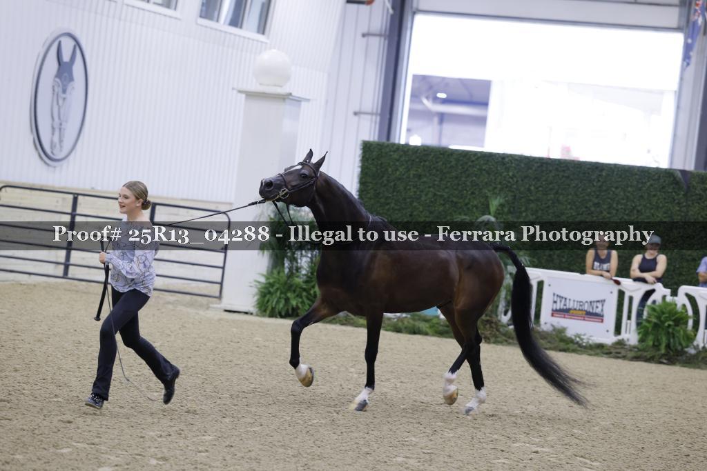 Proof 25R13_04288