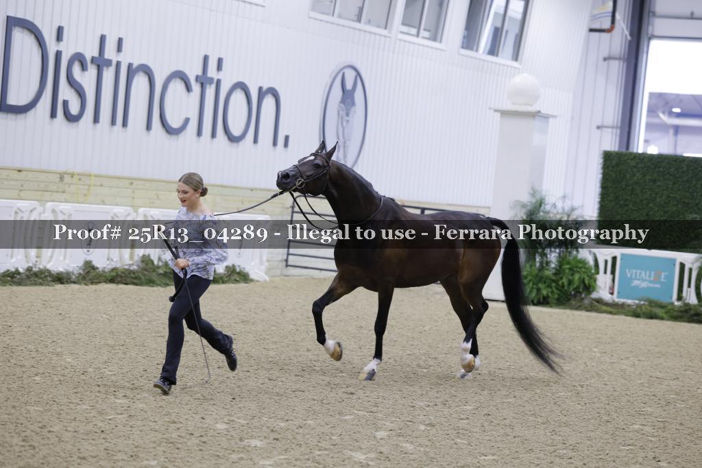 Proof 25R13_04289