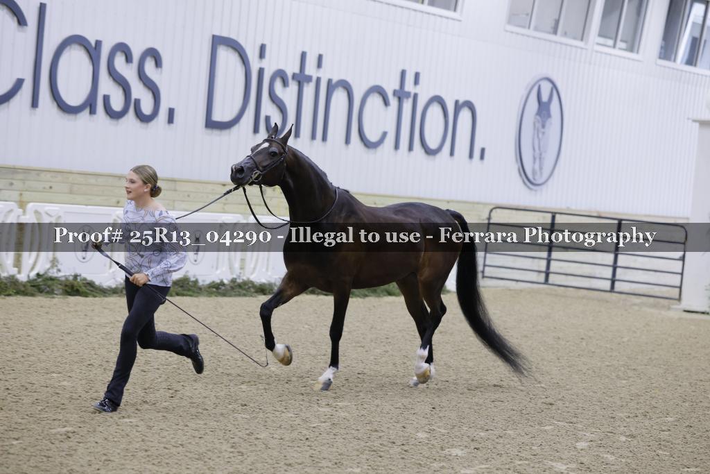 Proof 25R13_04290