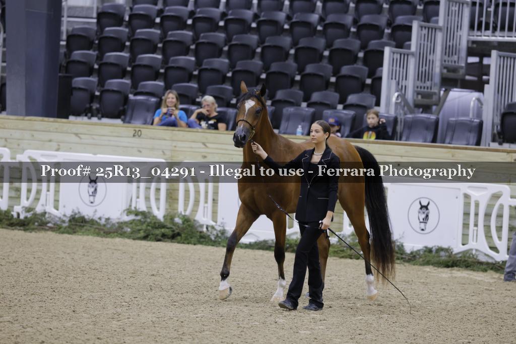 Proof 25R13_04291