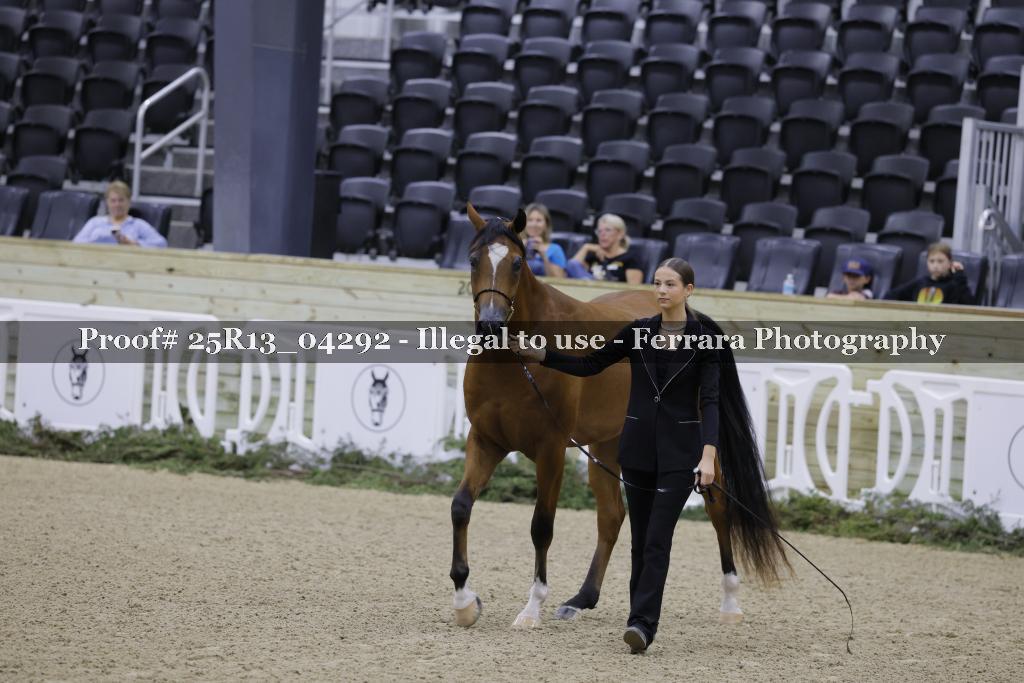 Proof 25R13_04292