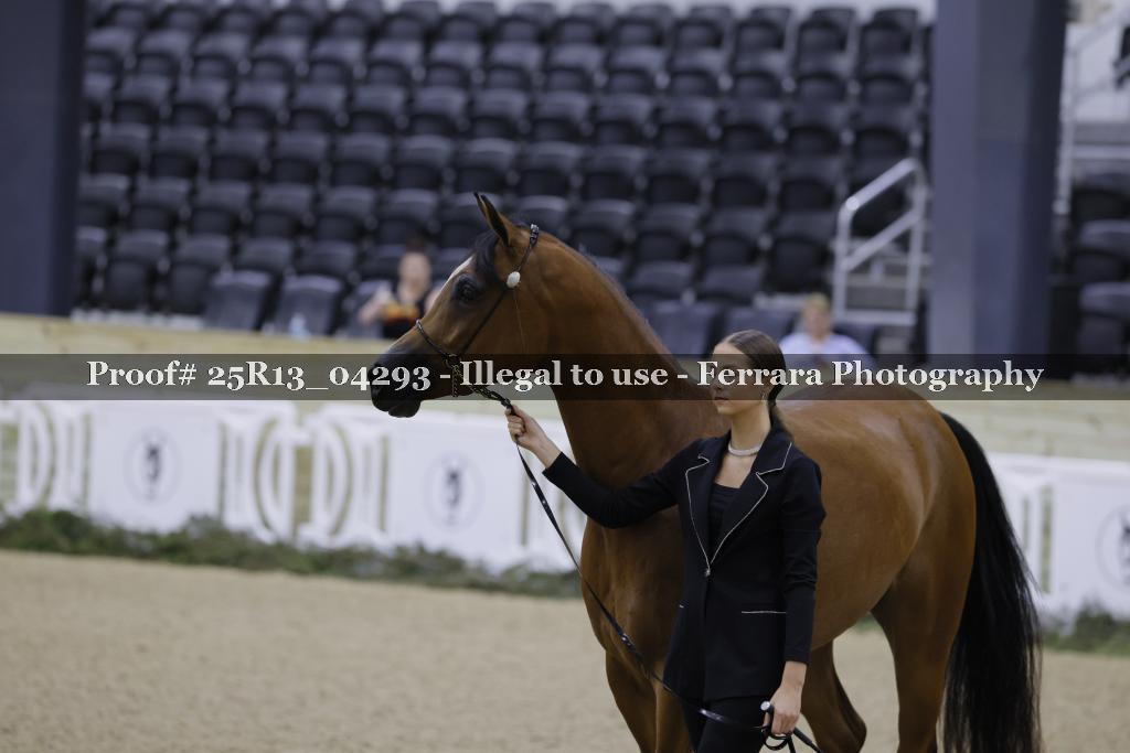 Proof 25R13_04293