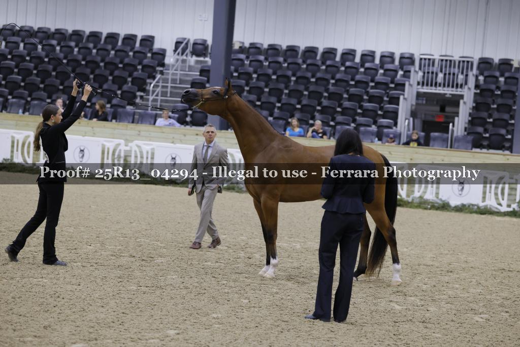 Proof 25R13_04294