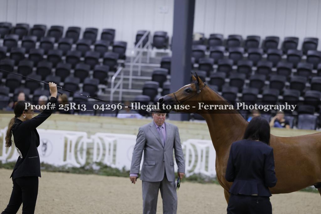 Proof 25R13_04296