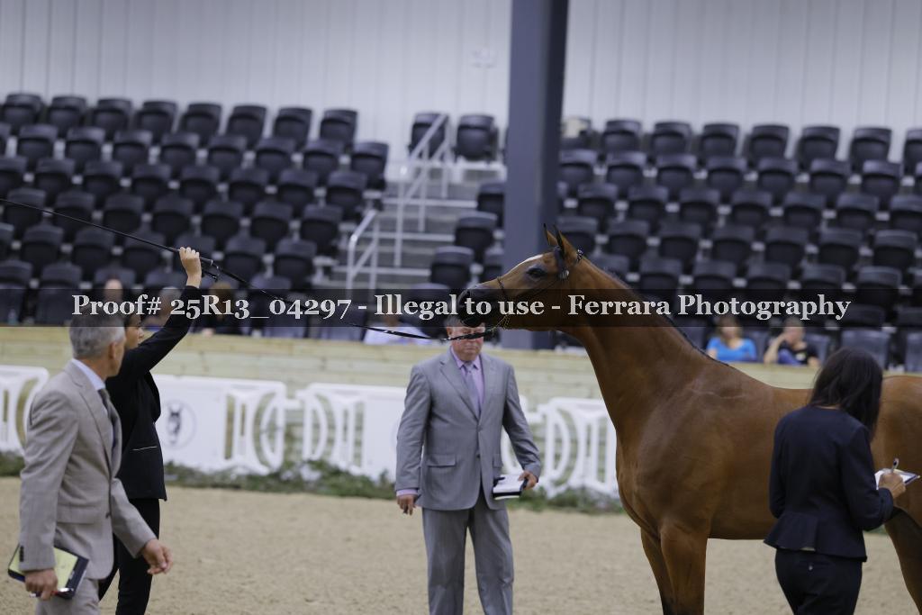 Proof 25R13_04297