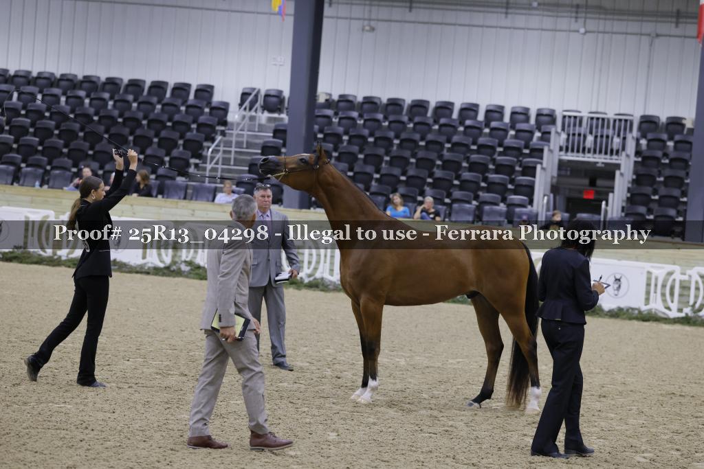 Proof 25R13_04298