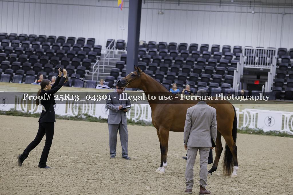 Proof 25R13_04301