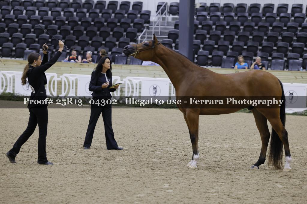 Proof 25R13_04302