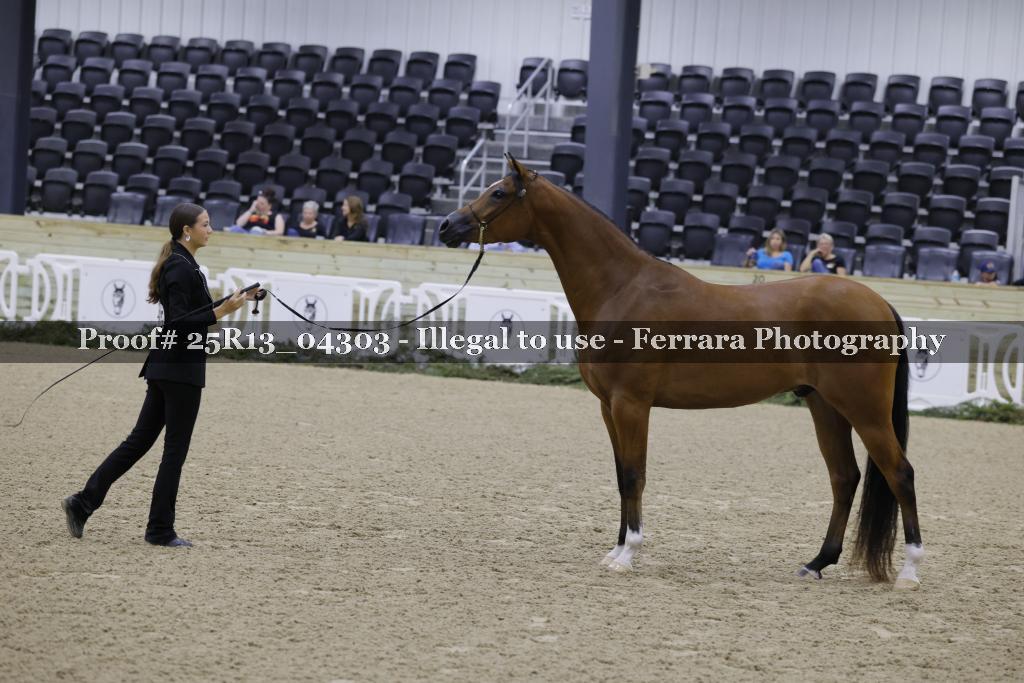 Proof 25R13_04303