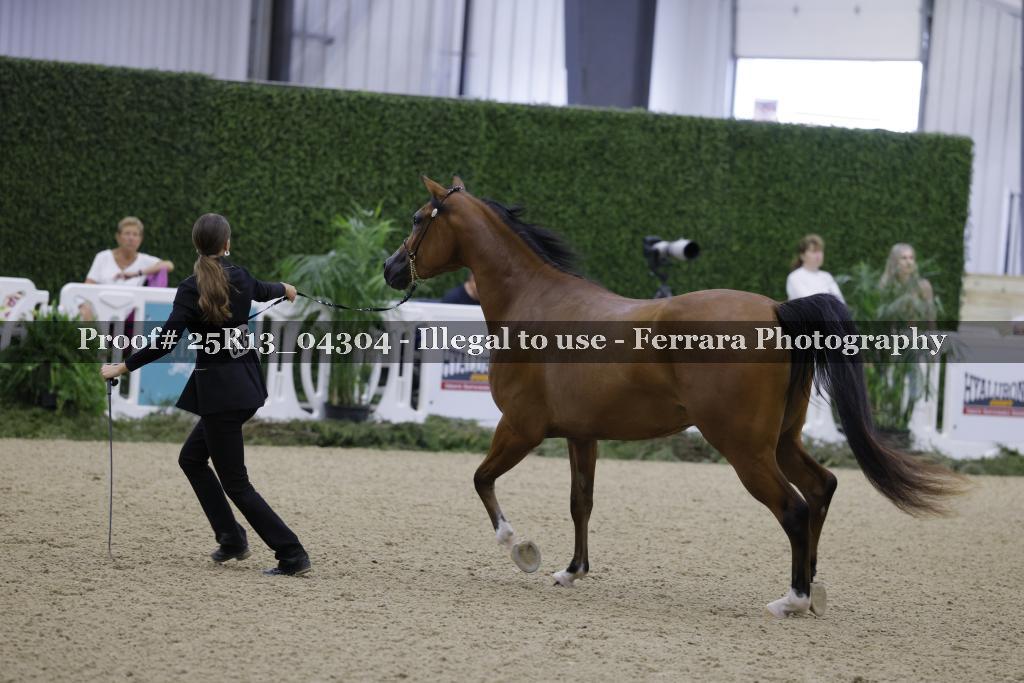 Proof 25R13_04304