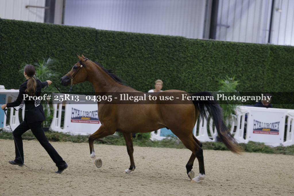 Proof 25R13_04305