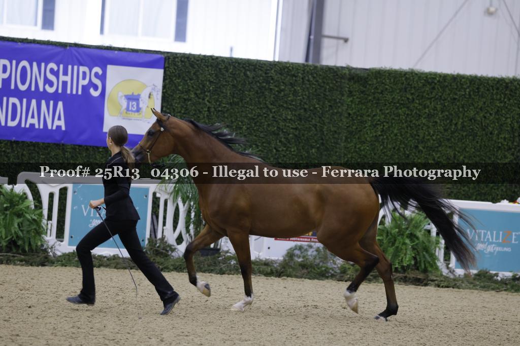 Proof 25R13_04306