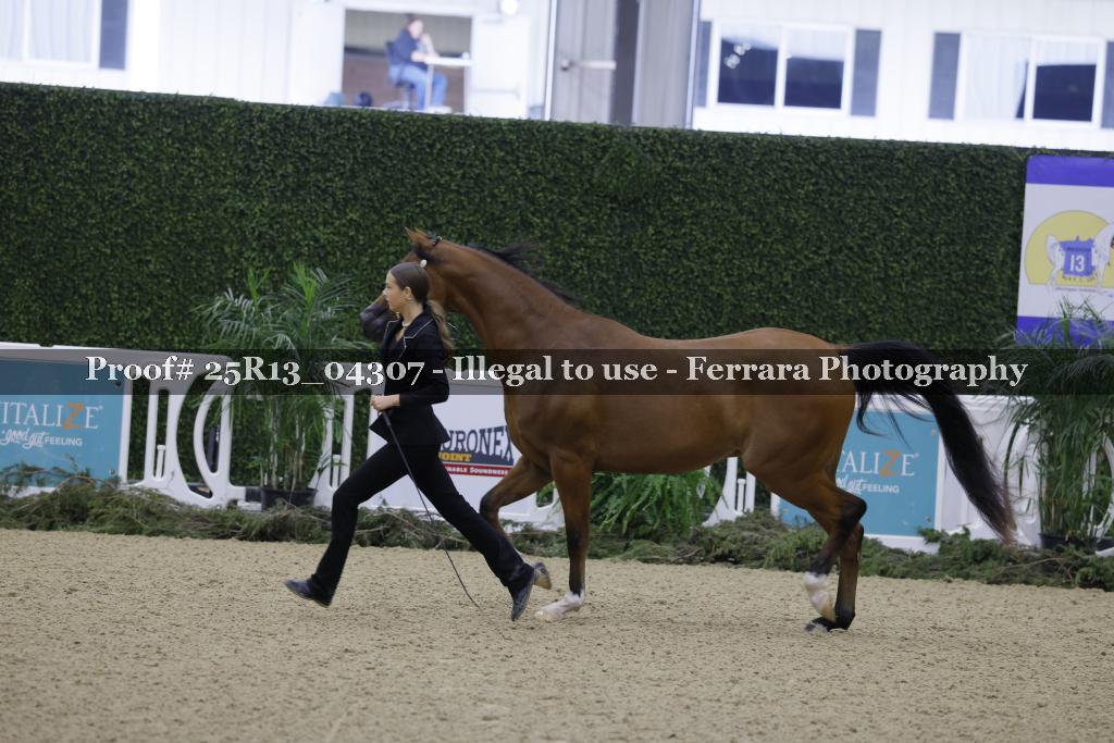 Proof 25R13_04307