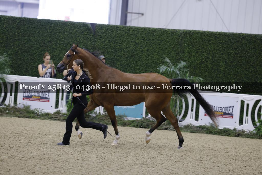 Proof 25R13_04308