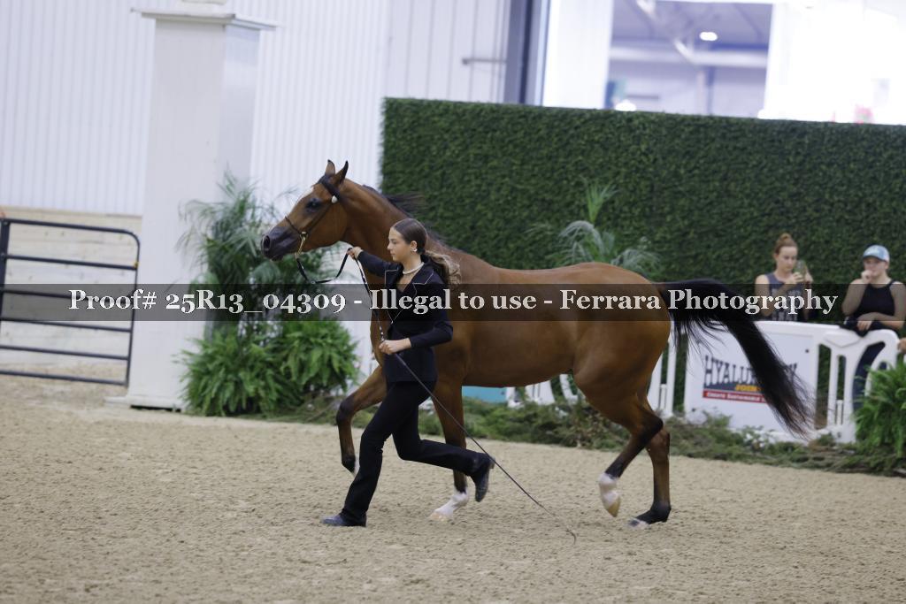 Proof 25R13_04309