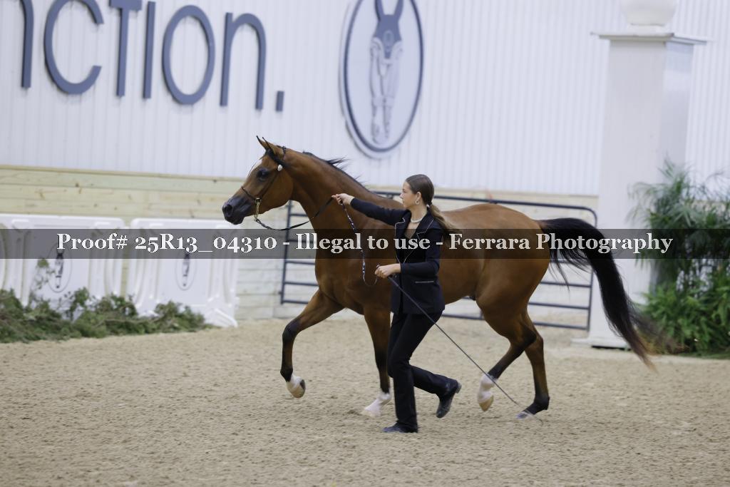 Proof 25R13_04310
