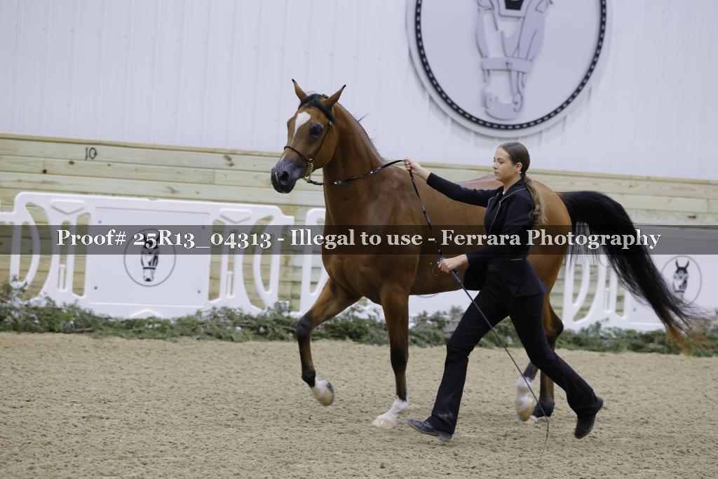 Proof 25R13_04313
