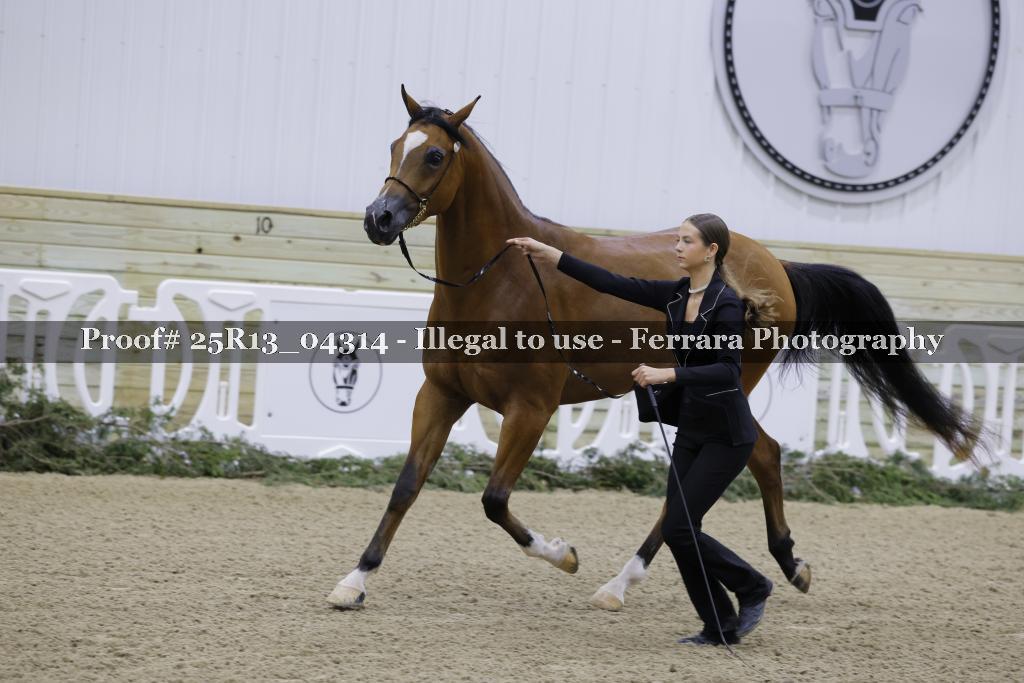 Proof 25R13_04314