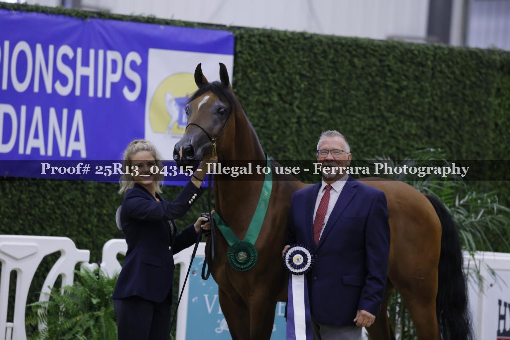 Proof 25R13_04315