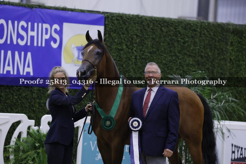 Proof 25R13_04316
