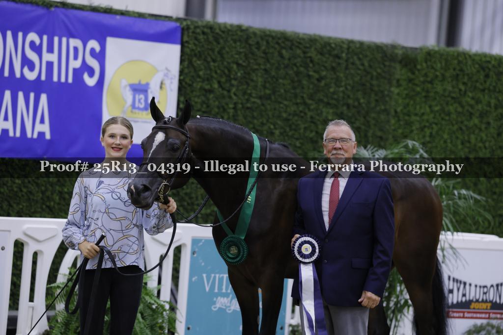 Proof 25R13_04319