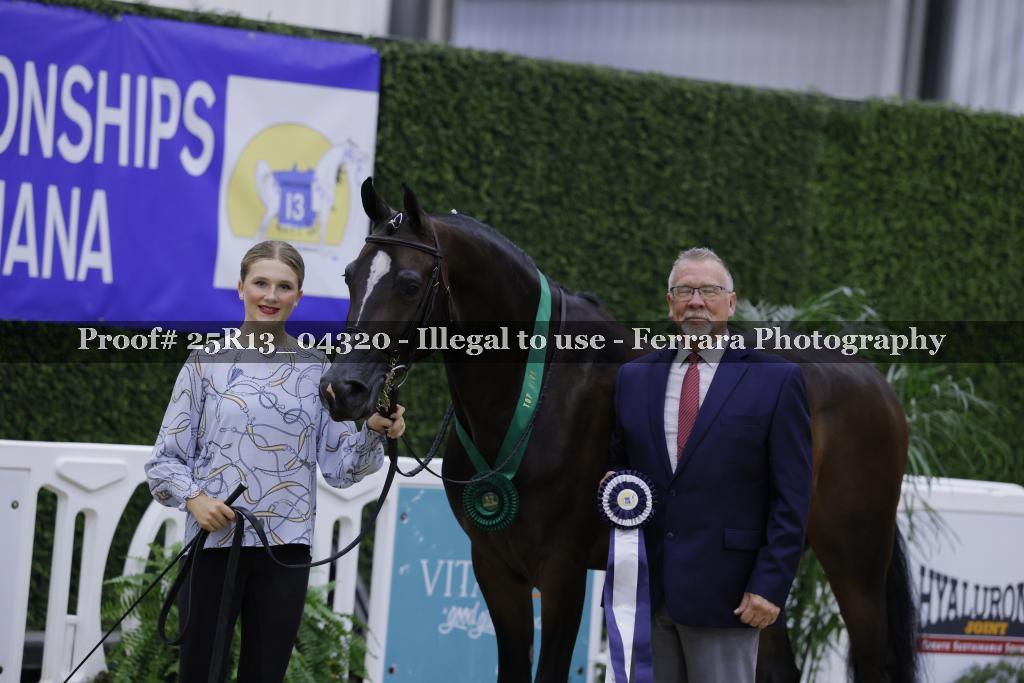 Proof 25R13_04320