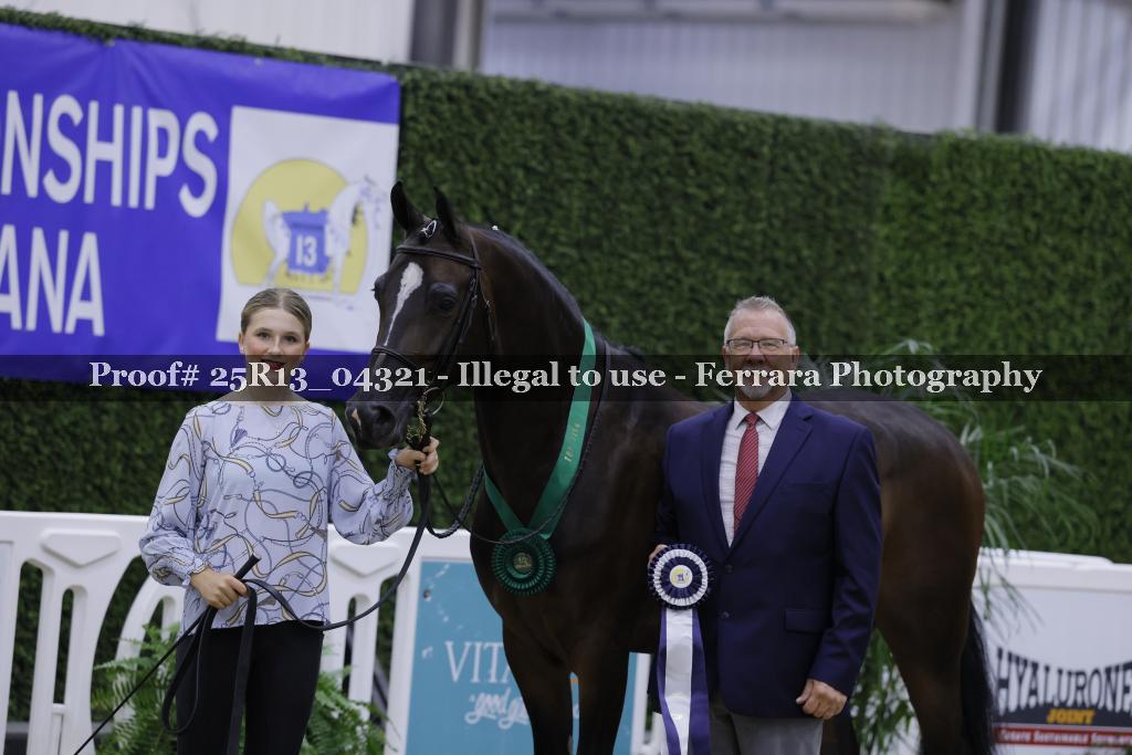 Proof 25R13_04321