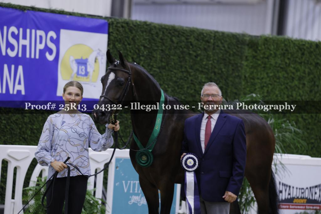 Proof 25R13_04322