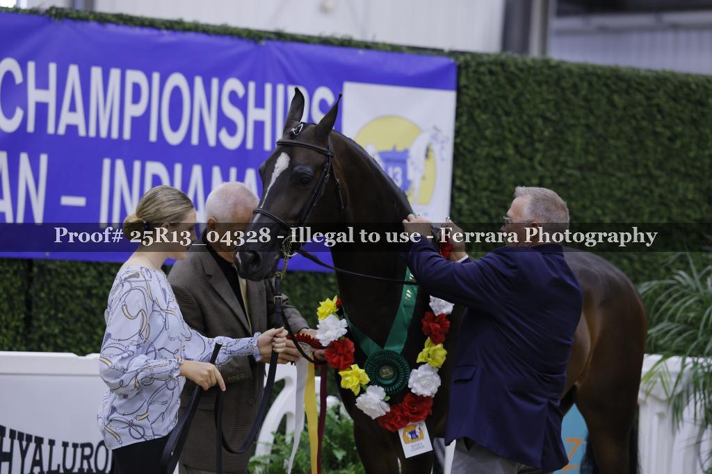 Proof 25R13_04328