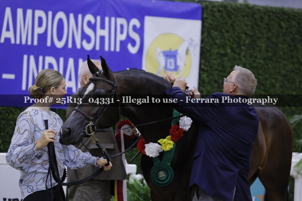 Proof 25R13_04331