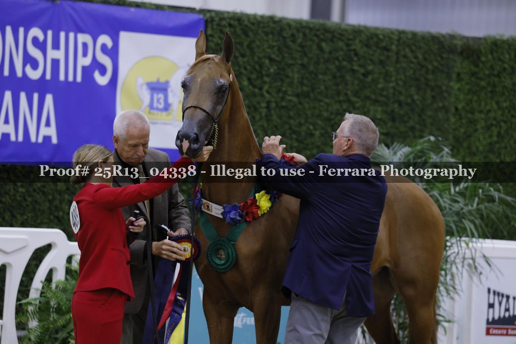 Proof 25R13_04338