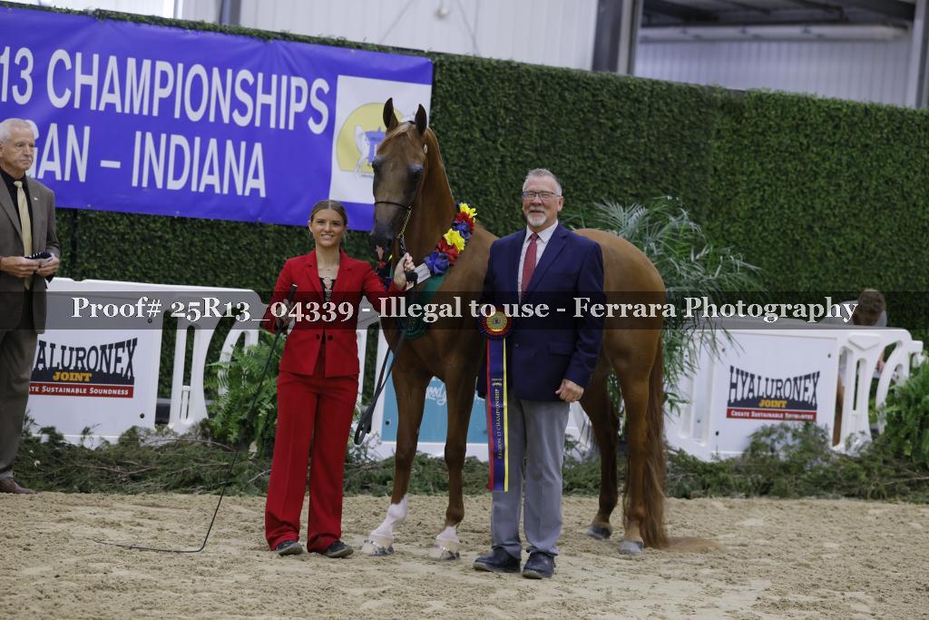Proof 25R13_04339