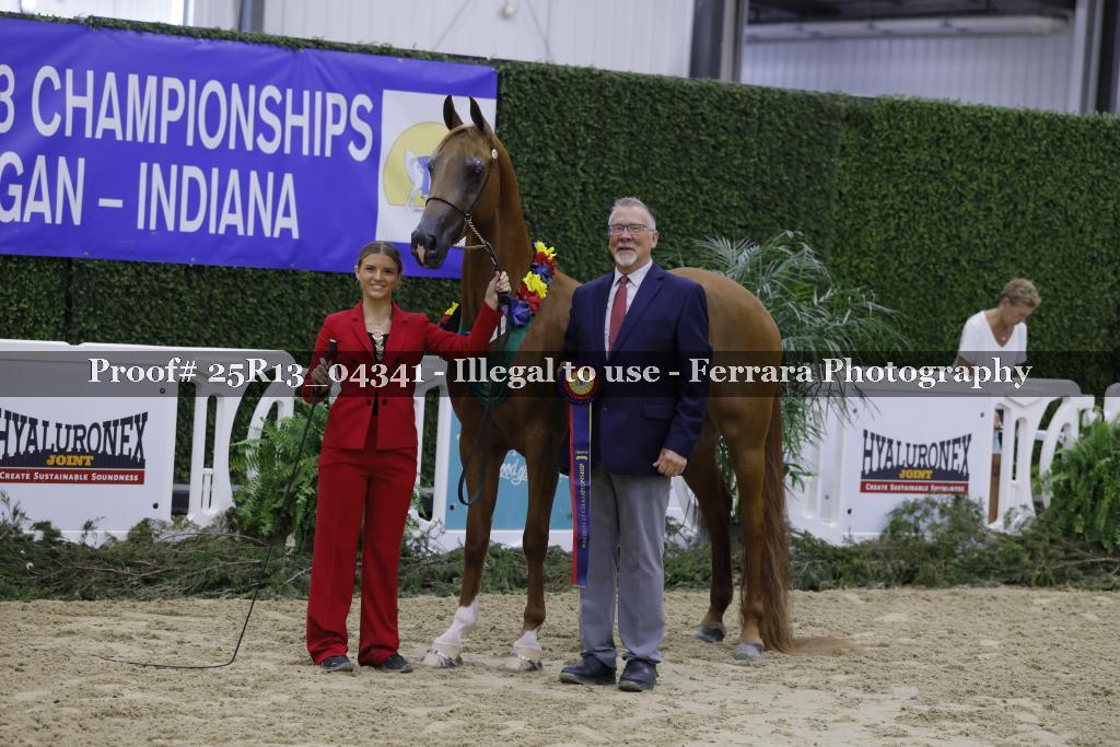 Proof 25R13_04341