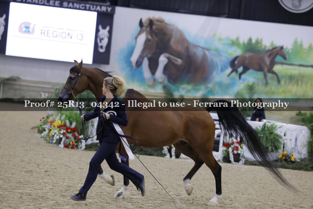 Proof 25R13_04342