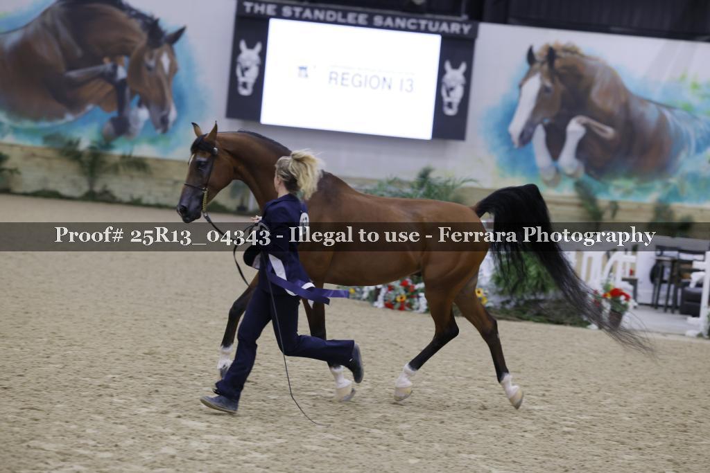 Proof 25R13_04343