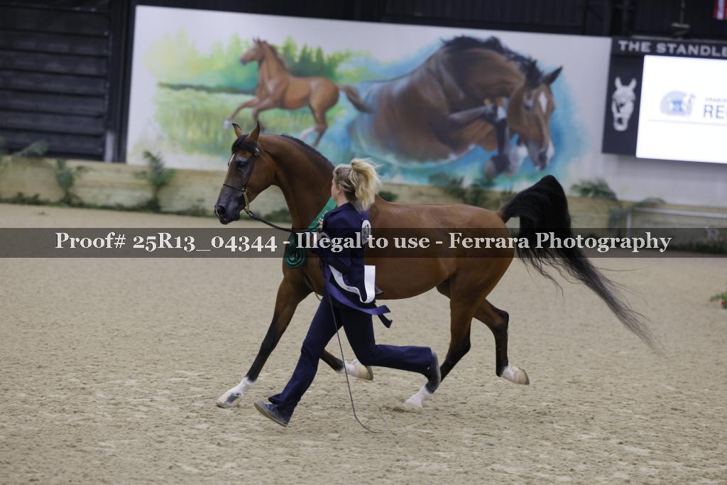 Proof 25R13_04344