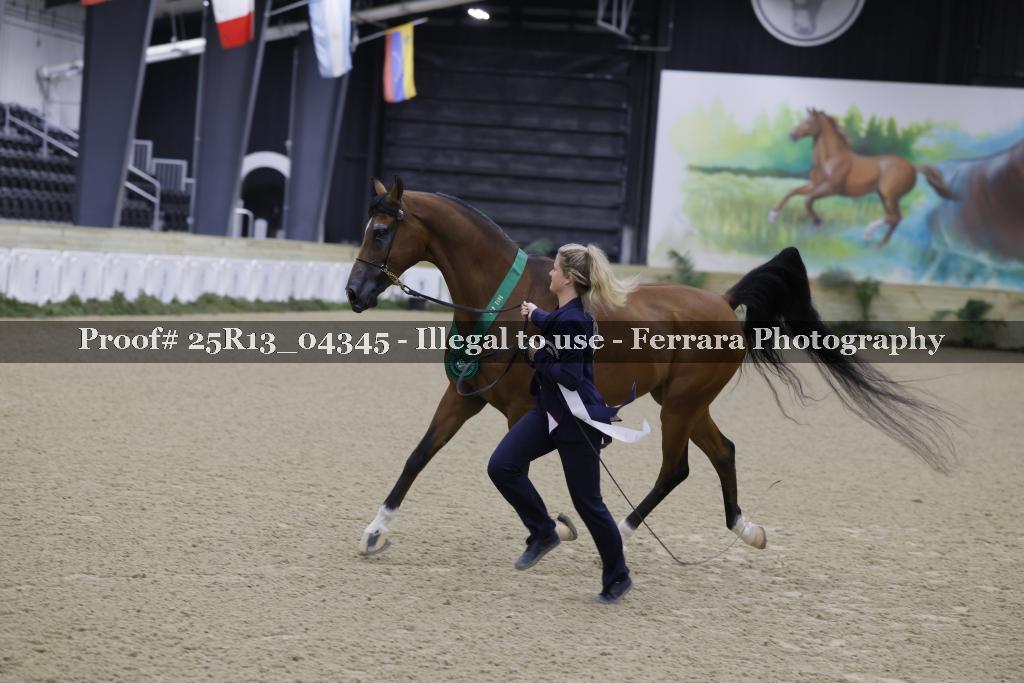 Proof 25R13_04345
