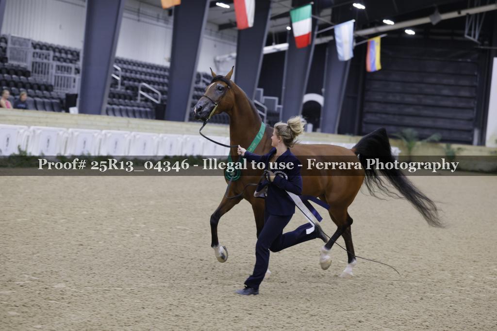 Proof 25R13_04346