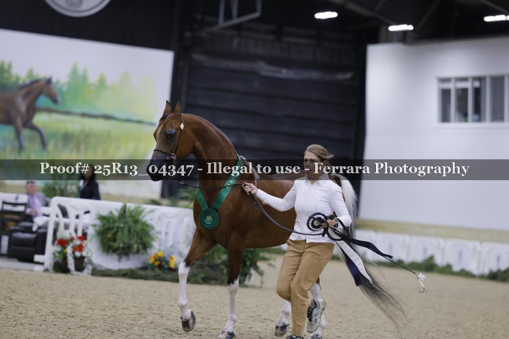 Proof 25R13_04347