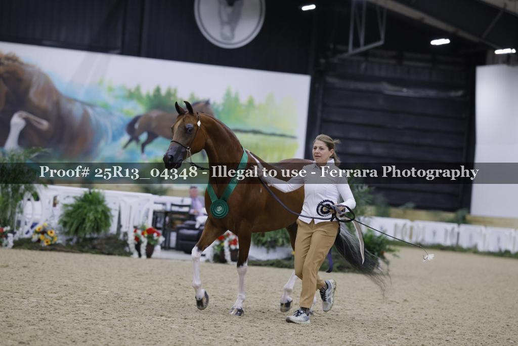 Proof 25R13_04348
