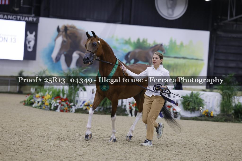 Proof 25R13_04349