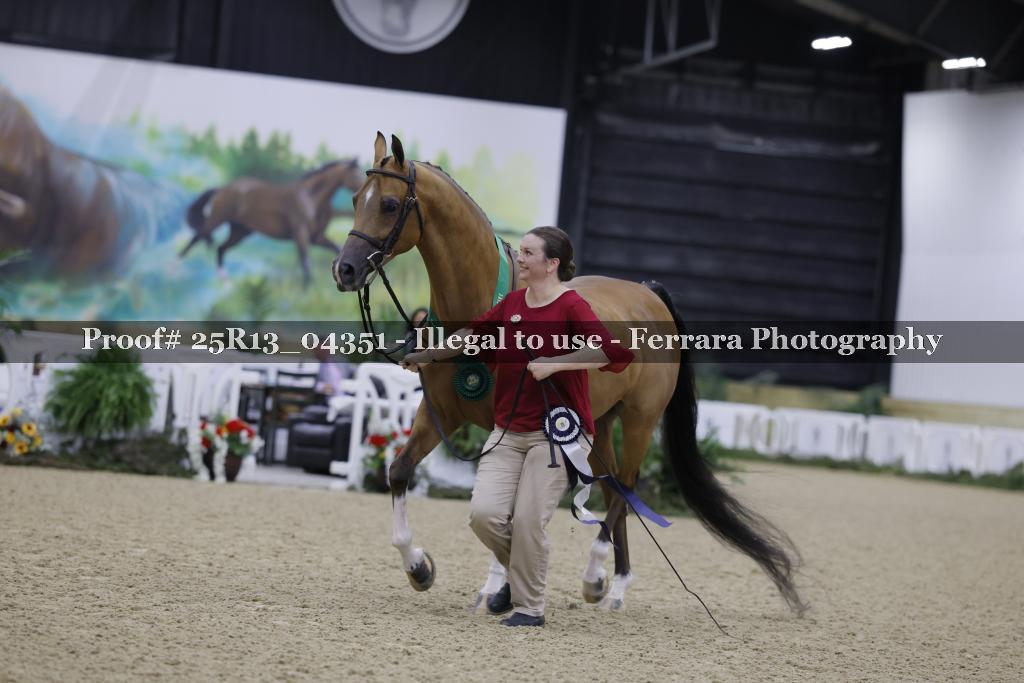Proof 25R13_04351