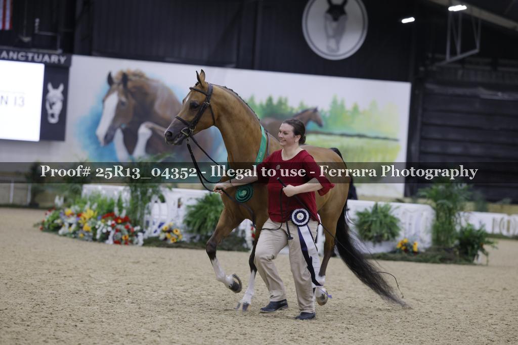 Proof 25R13_04352